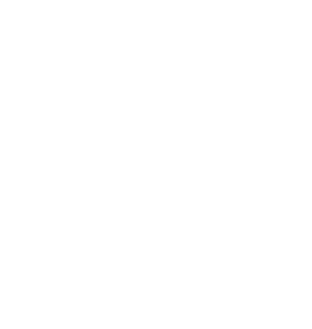 parsleyWs